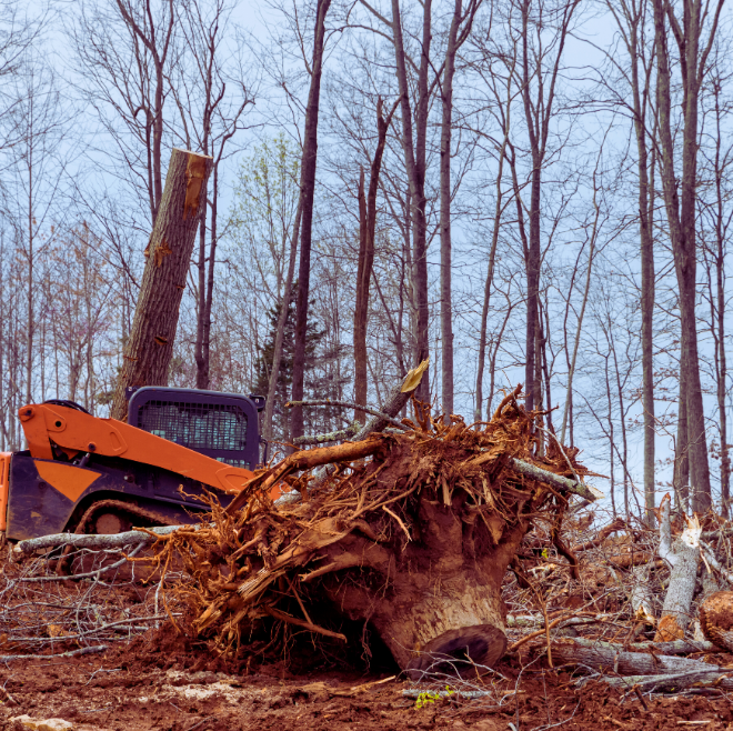 land clearing contractors working in Calgary