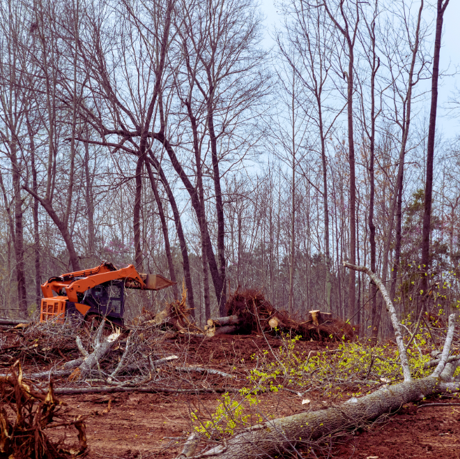 brush removal and land management in Central Alberta