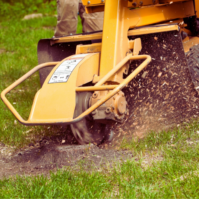 stump grinding services in Calgary yard